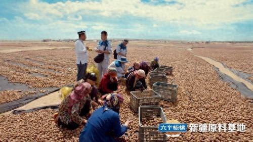 彩神vll养元饮品深化绿色发展之路六个核桃打造健康饮品标杆