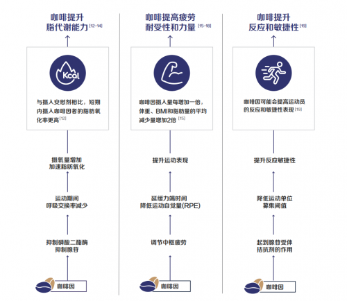 彩神vll从“续命神器”到“健康饮品”今年秋天喝瑞幸的原因又多了一个(图3)