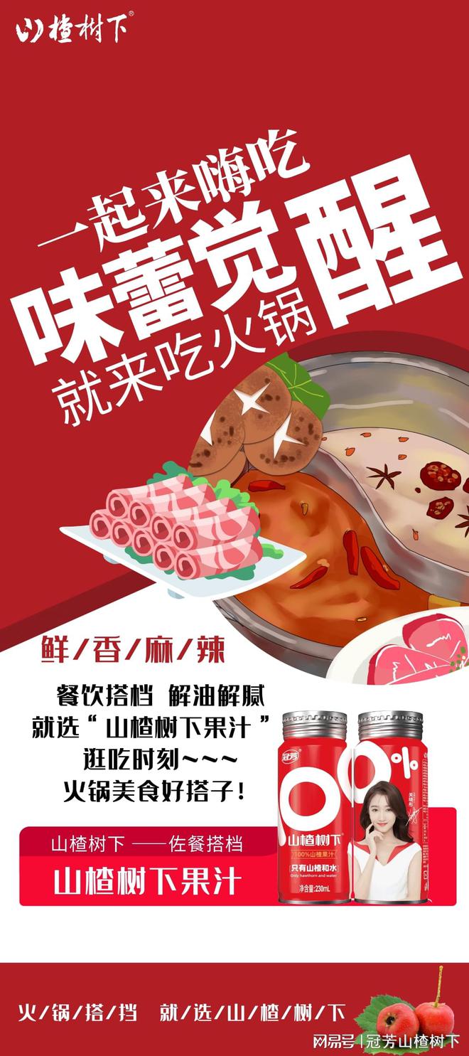 聚餐饮品搭档 山楂树下百分百果汁 酸甜爽口解腻回味无穷彩神v
