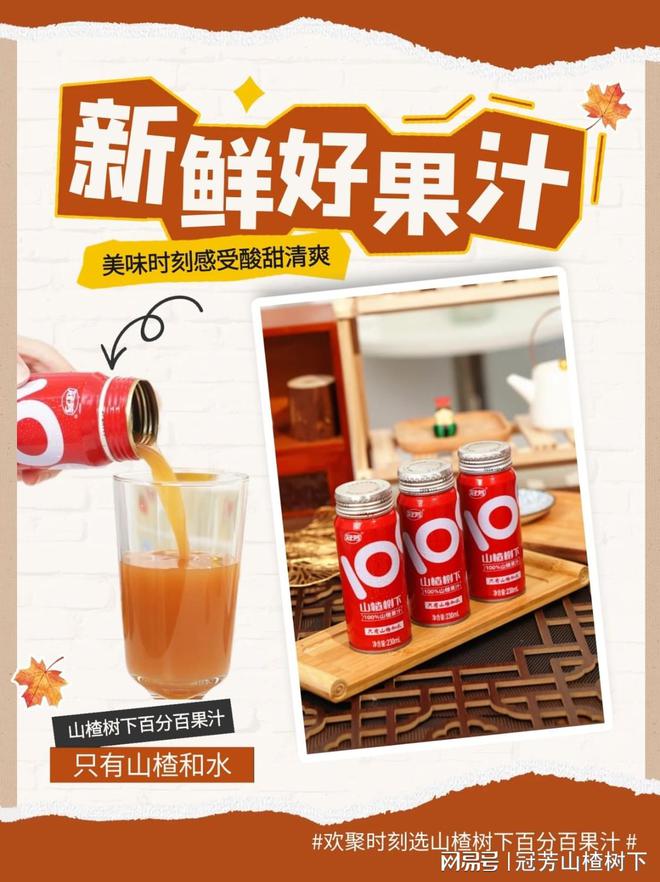 聚餐饮品搭档 山楂树下百分百果汁 酸甜爽口解腻回味无穷彩神vll(图2)