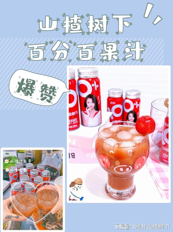 聚餐饮品搭档 山楂树下百分百果汁 酸甜爽口解腻回味无穷彩神vll(图4)