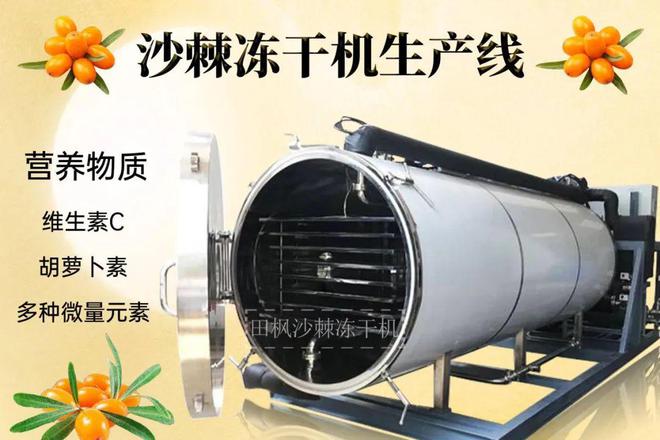 彩神vll沙棘冻干：冻干机带来的健康食品新趋势