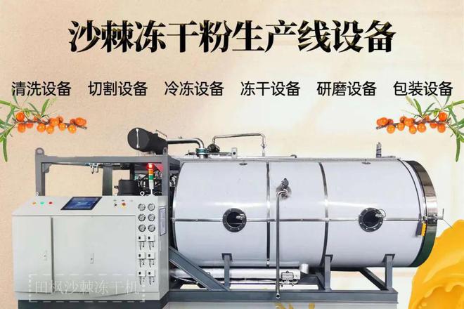 彩神vll沙棘冻干：冻干机带来的健康食品新趋势(图2)