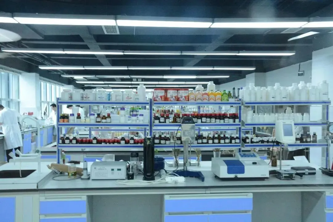 一食大咖说丨佳味添成李洲：无糖茶触顶反彩神vll弹2025这些饮料品类正悄悄崛起(图6)