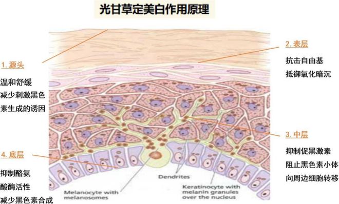 彩神vll对男人祛魅是30岁送我最好的礼物(图10)