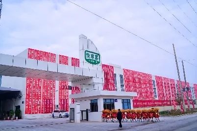 彩神vll2025年订单超10亿！好吉色集团淮北生产基地顺利投产(图6)