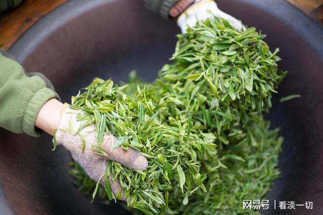 健康茶饮大赏——探寻茶的魅力与健康秘密彩神vll(图3)