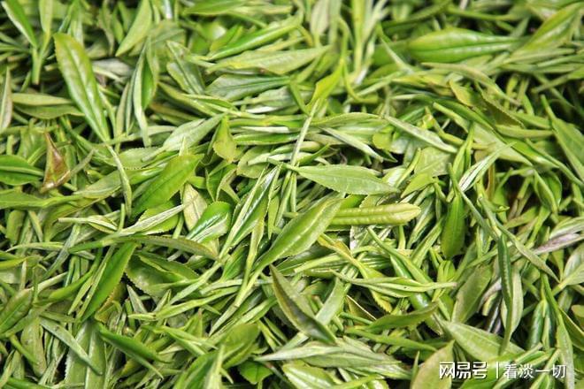 健康茶饮大赏——探寻茶的魅力与健康秘密彩神vll(图5)
