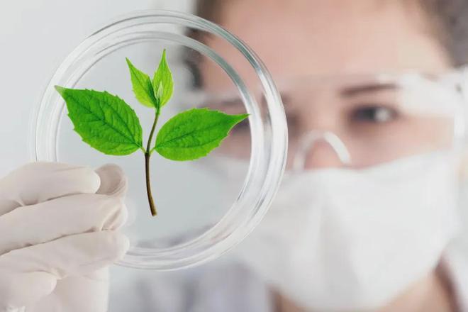 喝茶真是血管的“保护伞”？经常焦虑、吃油腻食物的人不妨多喝这种饮彩神vll料对心血管有好处(图3)