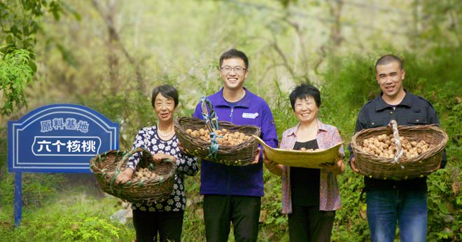 彩神vll六个核桃践行可持续发展理念共绘植物蛋白饮料绿色蓝图