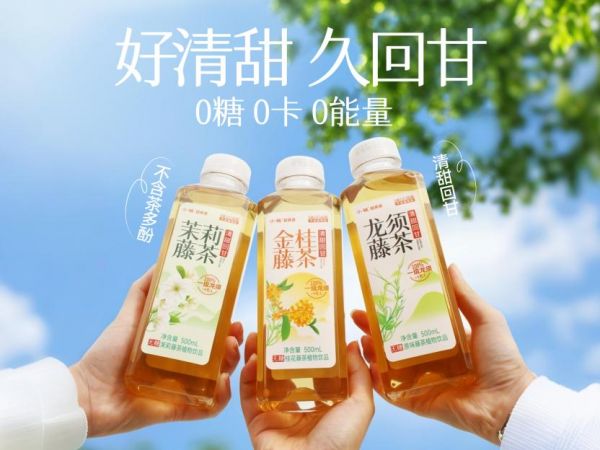 彩神vll小稀藤开放城市招商加盟首场藤茶品牌说明会火爆收官！(图7)