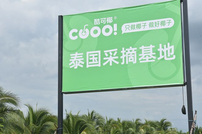 彩神vll当新式茶饮遇上椰子酷可椰的差异化创新突围(图3)