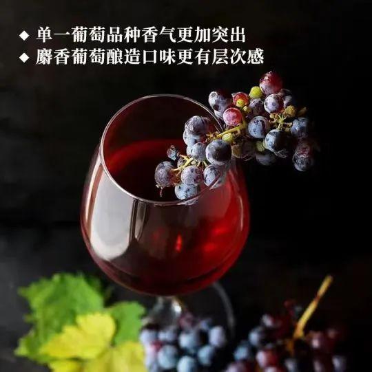 喝第一口就知道以后聚餐少不了它彩神vll！健康美味老少都爱！(图4)