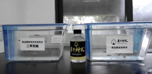彩神vll寿年神泉营养素饮品：为血糖健康助力科学实验揭秘！(图4)