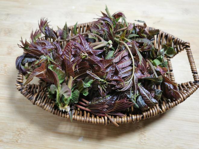 彩神vll“春天第一鲜”胜过牛羊肉利尿解毒抗菌消炎错过再等一年(图2)