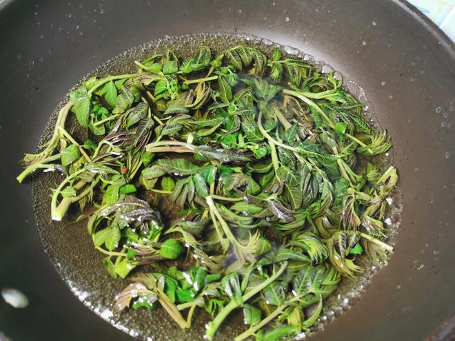 彩神vll“春天第一鲜”胜过牛羊肉利尿解毒抗菌消炎错过再等一年(图3)