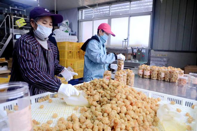 彩神vll工业强县 融安金桔深加工产业蓬勃发展(图2)