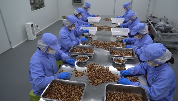 彩神vll汪清县重点项目按下“快进键” 助力医药健康食品产业高质量发展(图3)