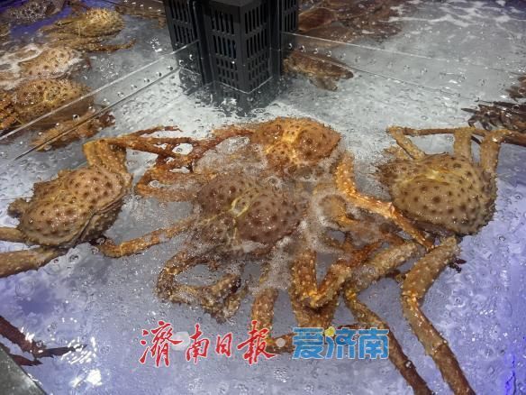 彩神vll首次落户济南的胖东来自有品牌专区5月30日“揭开神秘面纱”(图4)