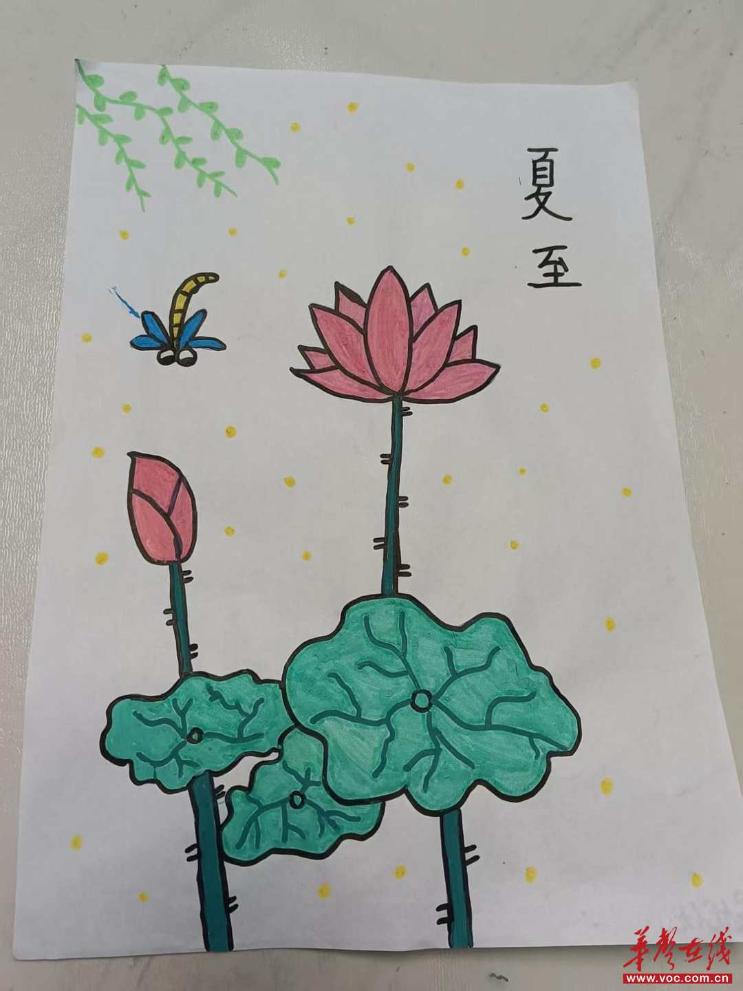 彩神vll戴家岭小学开展“跟着节气去劳动”活动之“夏至”实践活动(图3)