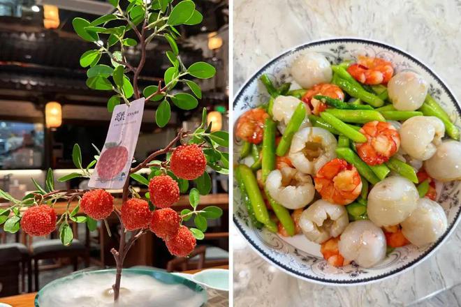 彩神vll《长安的荔枝》“哑火了”荔枝饮品却卖爆了(图5)