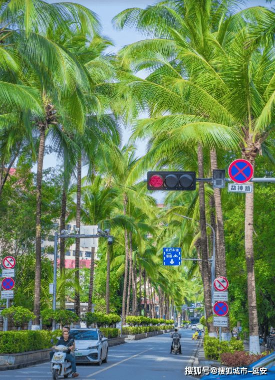 彩神vll西双版纳4天3晚精品小团人均费用4日游游玩路线旅游攻略码住(图1)