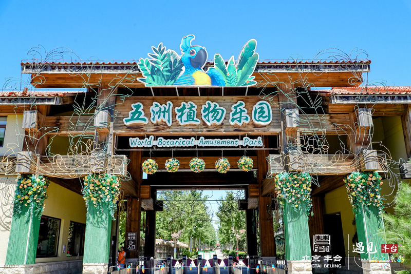 丰台王佐释放全域旅游消费活力彩神vll(图2)