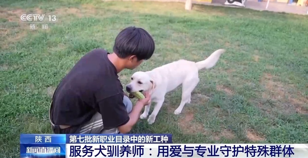 彩神vll兰州牛肉拉面出考核教材了！来看拉面界的人才培养方式→(图12)
