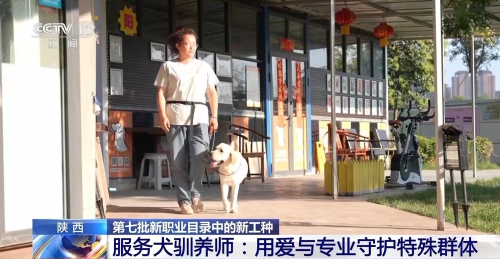 彩神vll兰州牛肉拉面出考核教材了！来看拉面界的人才培养方式→(图10)