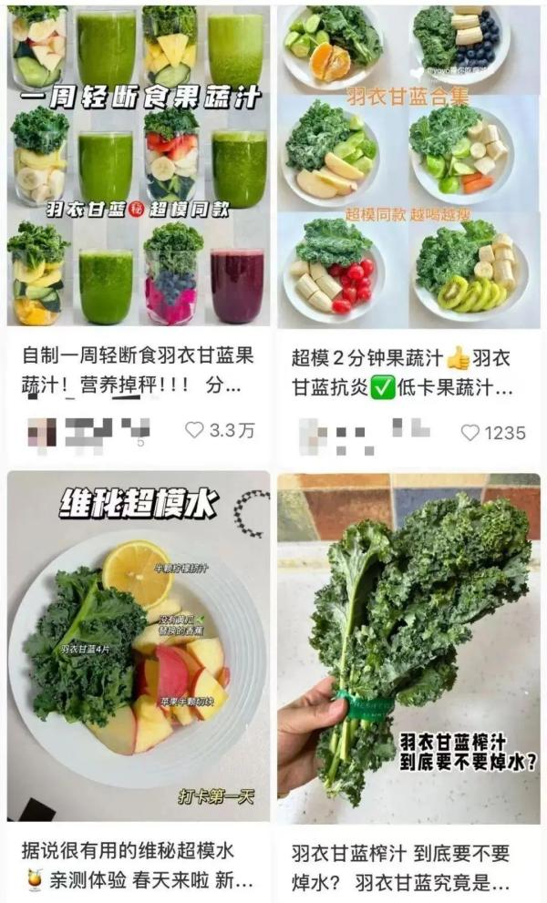 彩神vll“羊都不吃”的羽衣甘蓝爆火：当健康焦虑正中资本下怀(图1)