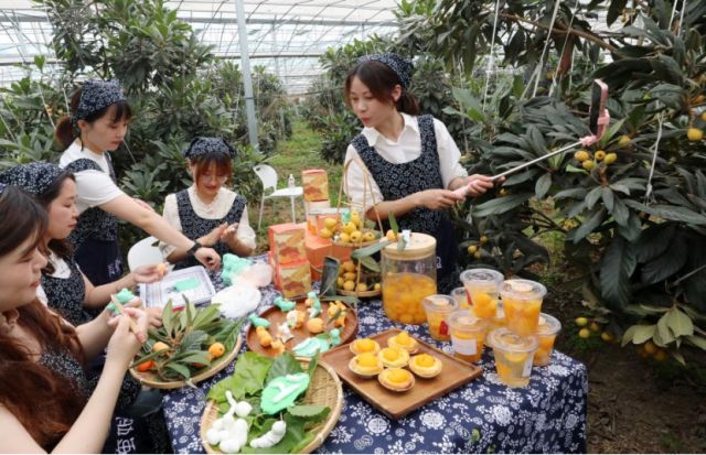 从古时贡品到城市IP塘栖枇杷何以常鲜？彩神vll(图5)