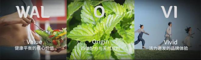 王彩神vll老吉要把WALOVI卖到全世界(图10)