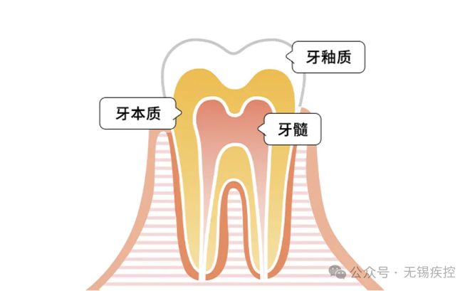 毁彩神vll牙最厉害！很多无锡人天天喝！(图2)