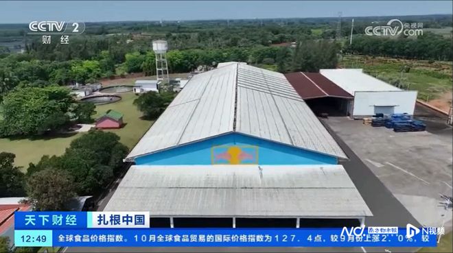 彩神vll央视聚焦能量饮料头部品牌讲述天丝红牛品牌扎根中国故事(图5)