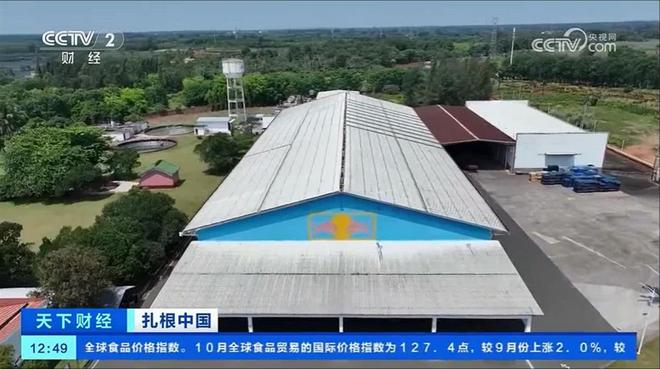 彩神vll央视聚焦能量饮料头部品牌：天丝集团红牛品牌扎根中国故事(图5)