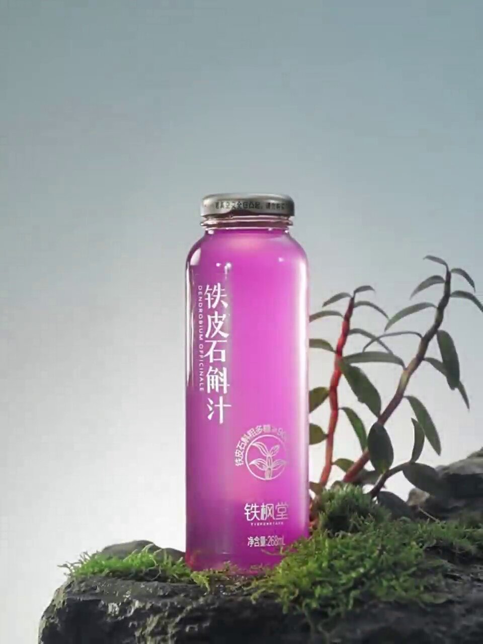 彩神vll2025年度视频号电商生态洞察报告