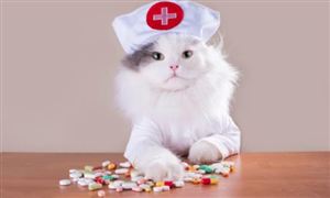 深度分析_中研普华行业研究网彩神vll(图12)