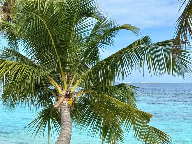 2026马尔代夫跟团6彩神vll日游报价小众岛屿打卡+全程纯玩无套路(图3)