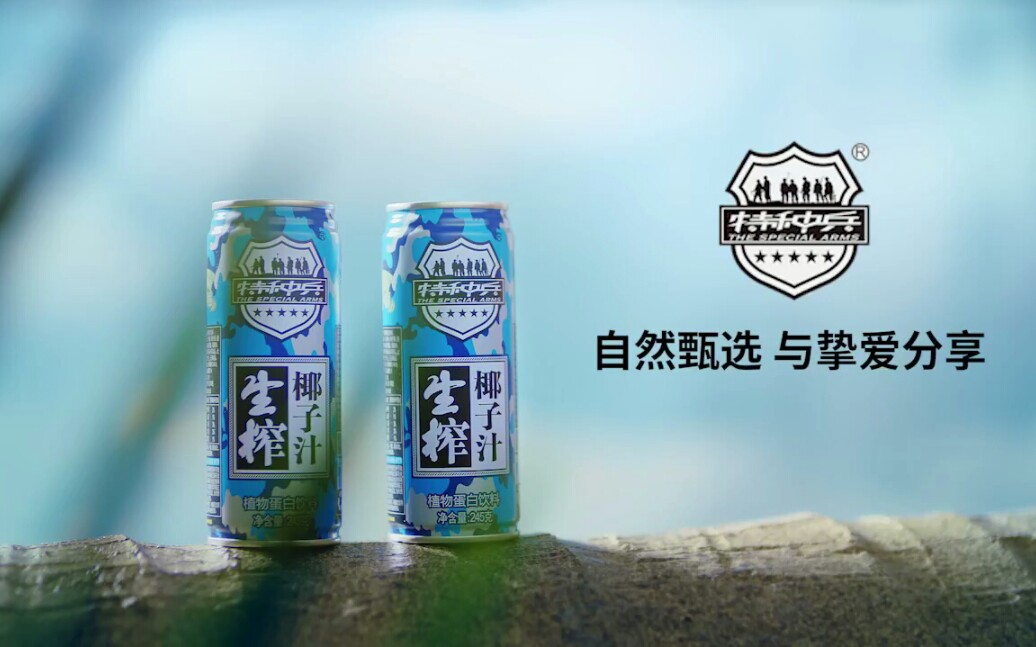 南非决定撤回向联合国刚果（金）稳定特派团派遣的维彩神vll和部队