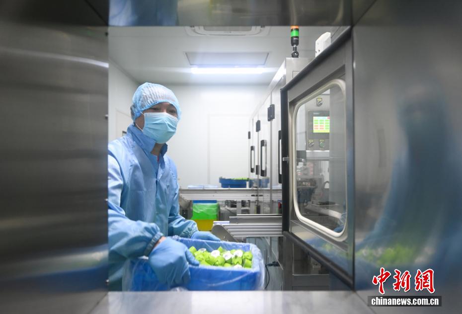 全球消费者青睐健康饮品浙江抹彩神vll茶出口热度飙升(图4)